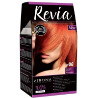 Revia Barva na vlasy No.06