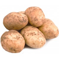 Nový brambory neprané volné cca 100g