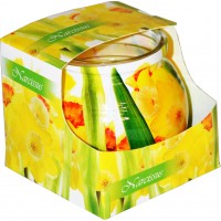 Admit Svíčka ve skle Narcissus 85g