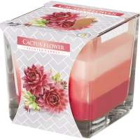 Bispol svíčka cactus flower 170g
