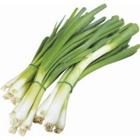 Lahůdková cibule 1 svazek