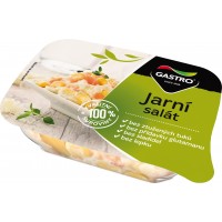 Gastro Jarní salát 140g