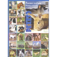 DOMÁCÍ ZVÍŘATA-pexeso